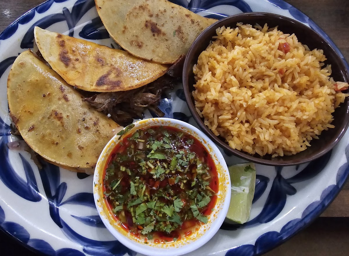 Campesino Mexican Grill & Cantina