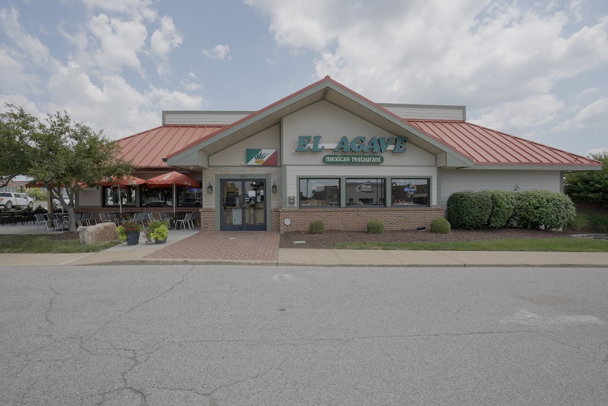 El Agave