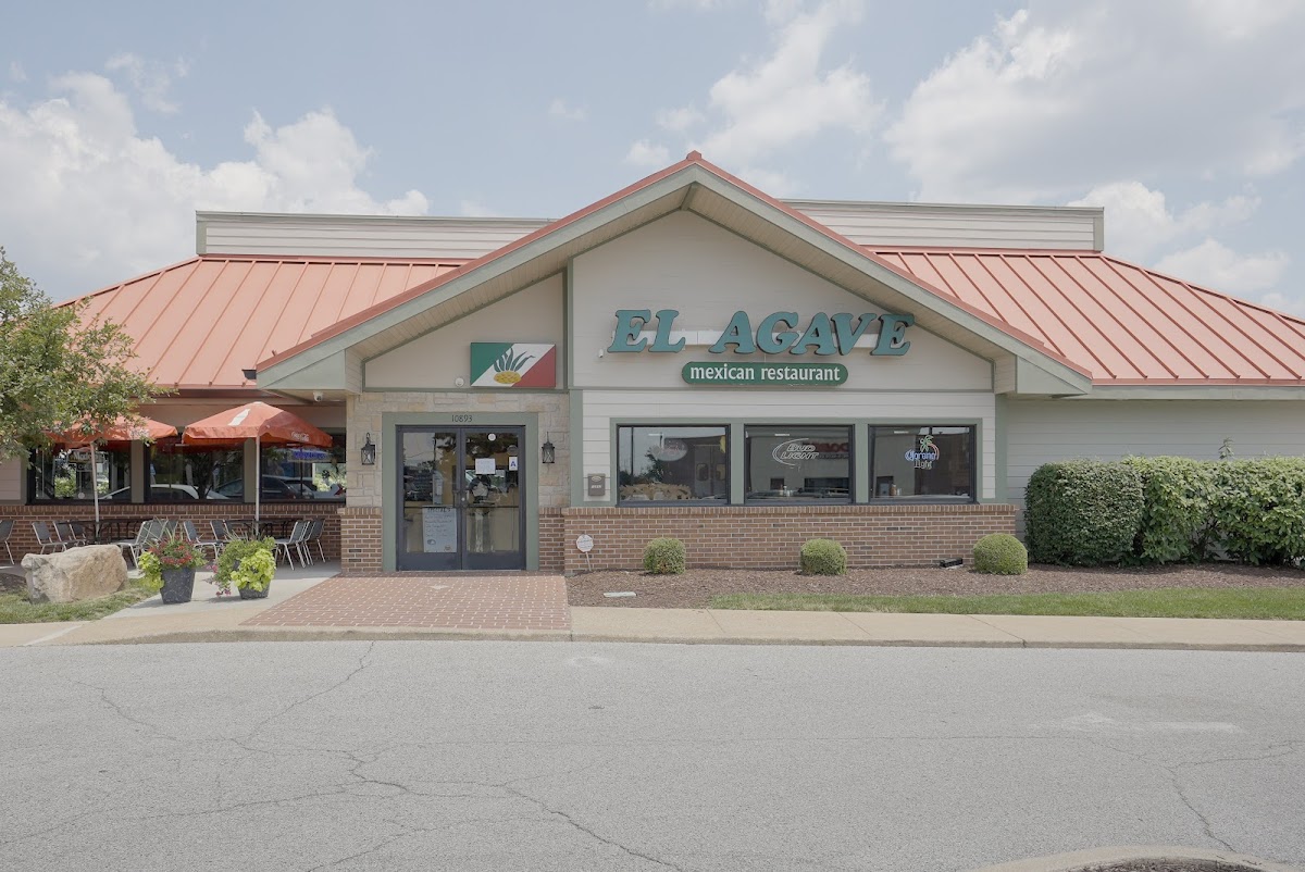 El Agave