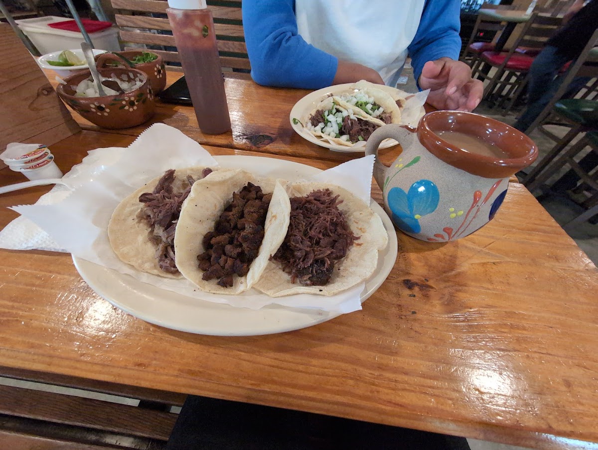 El Maguey