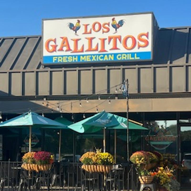Los Gallitos Fresh Mexican Grill