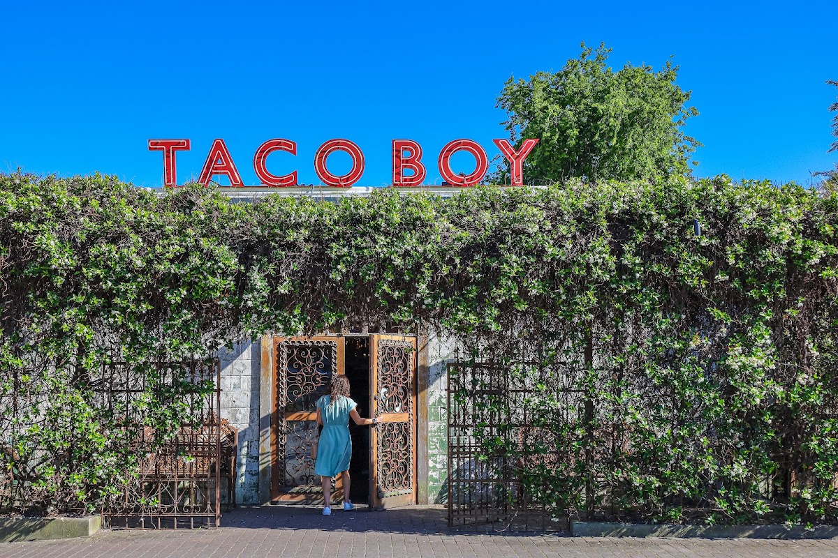 Taco Boy - Charleston