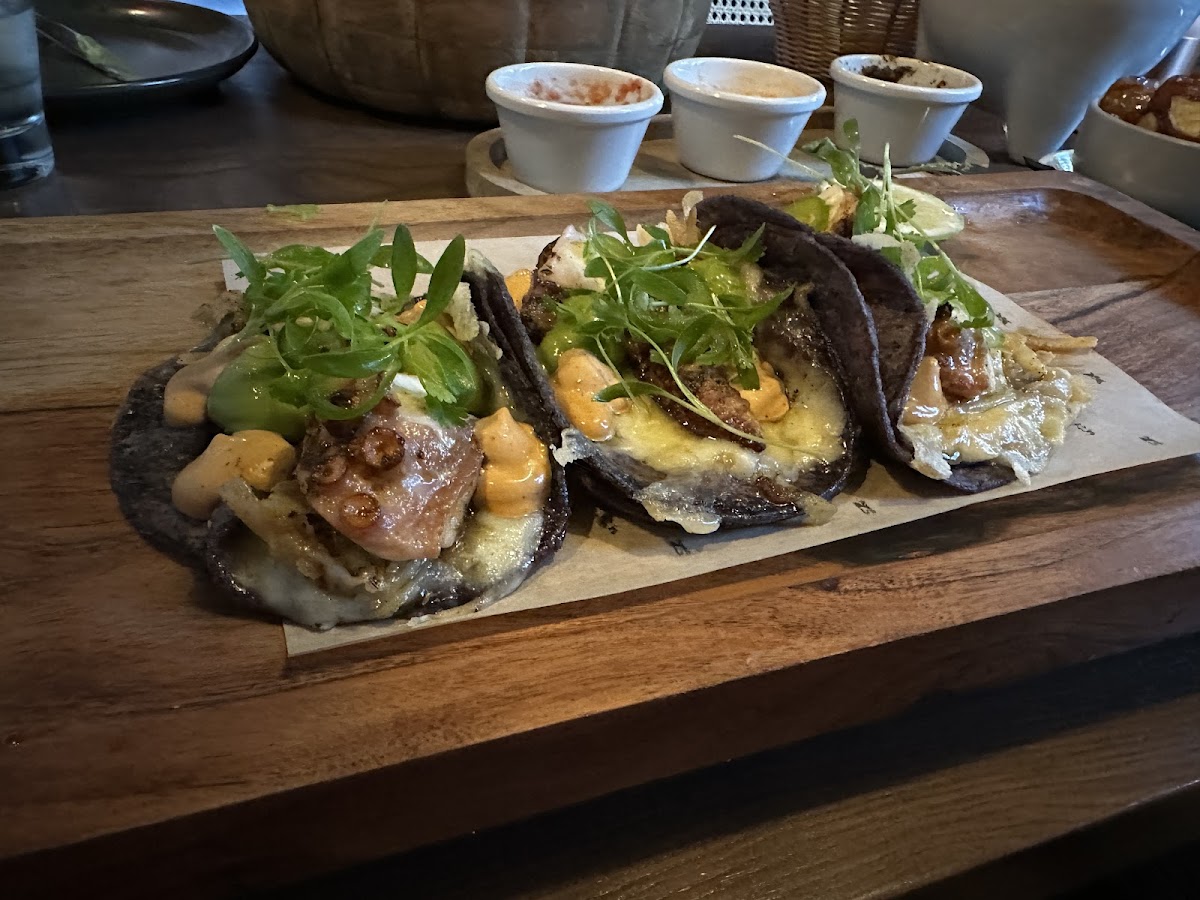 Taha Mexican Kitchen