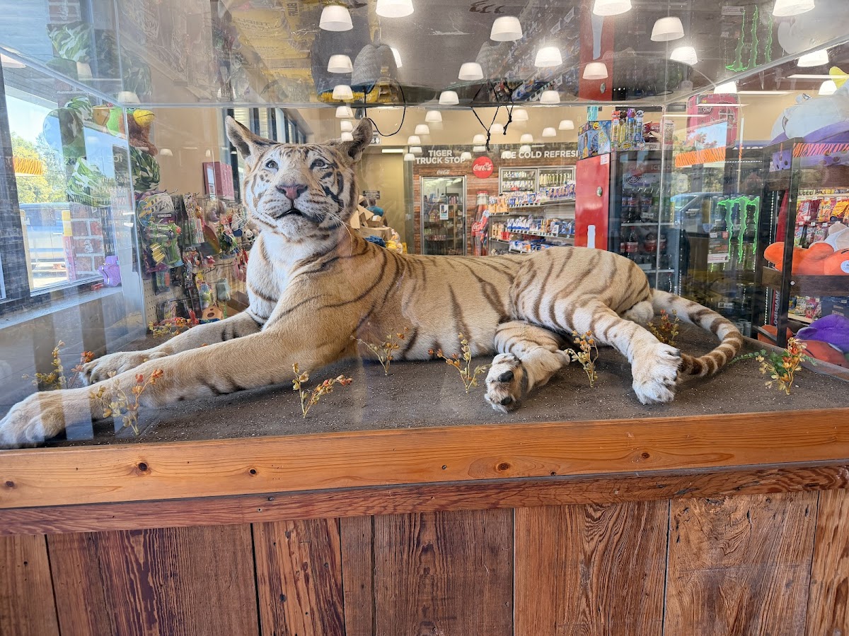 Tiger Truck Stop Rest. — restaurante mexicano en Grosse Tete