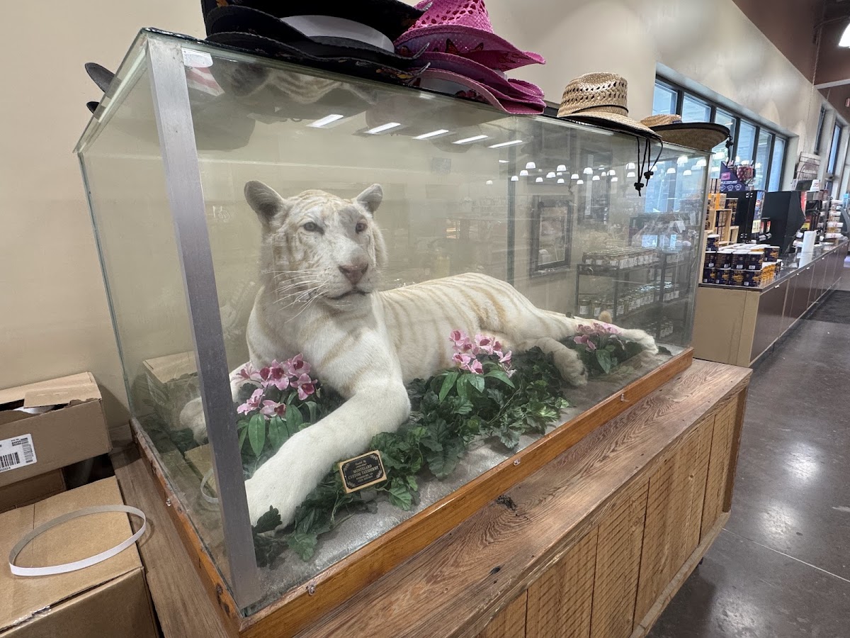 Tiger Truck Stop Rest.